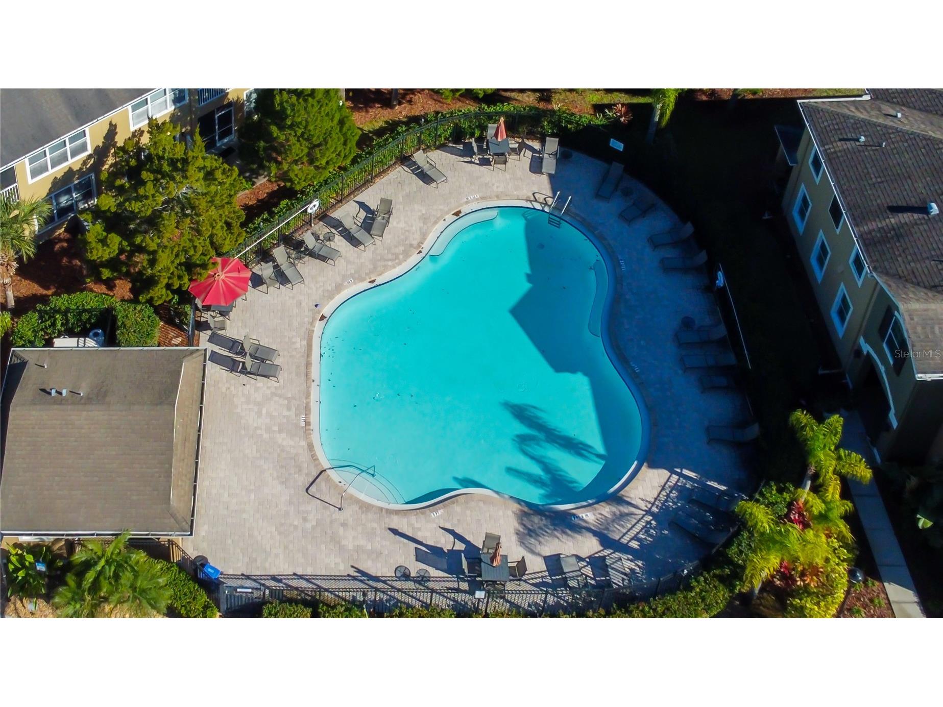 12507 Silverdale Street Tampa FL 33626 TB8464076 image65