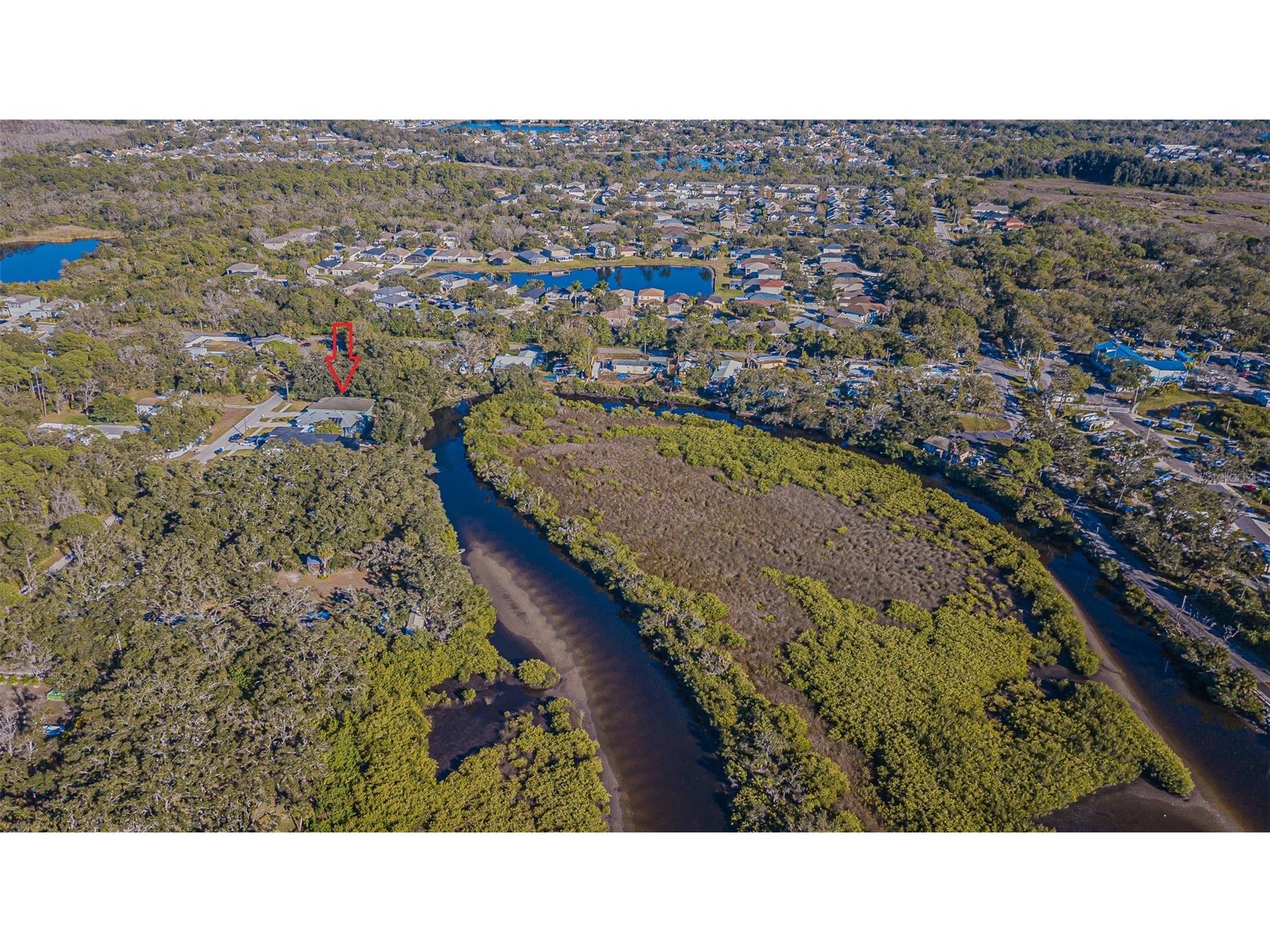 12508 Glenna Avenue Tampa FL 33635 TB8465813 image10