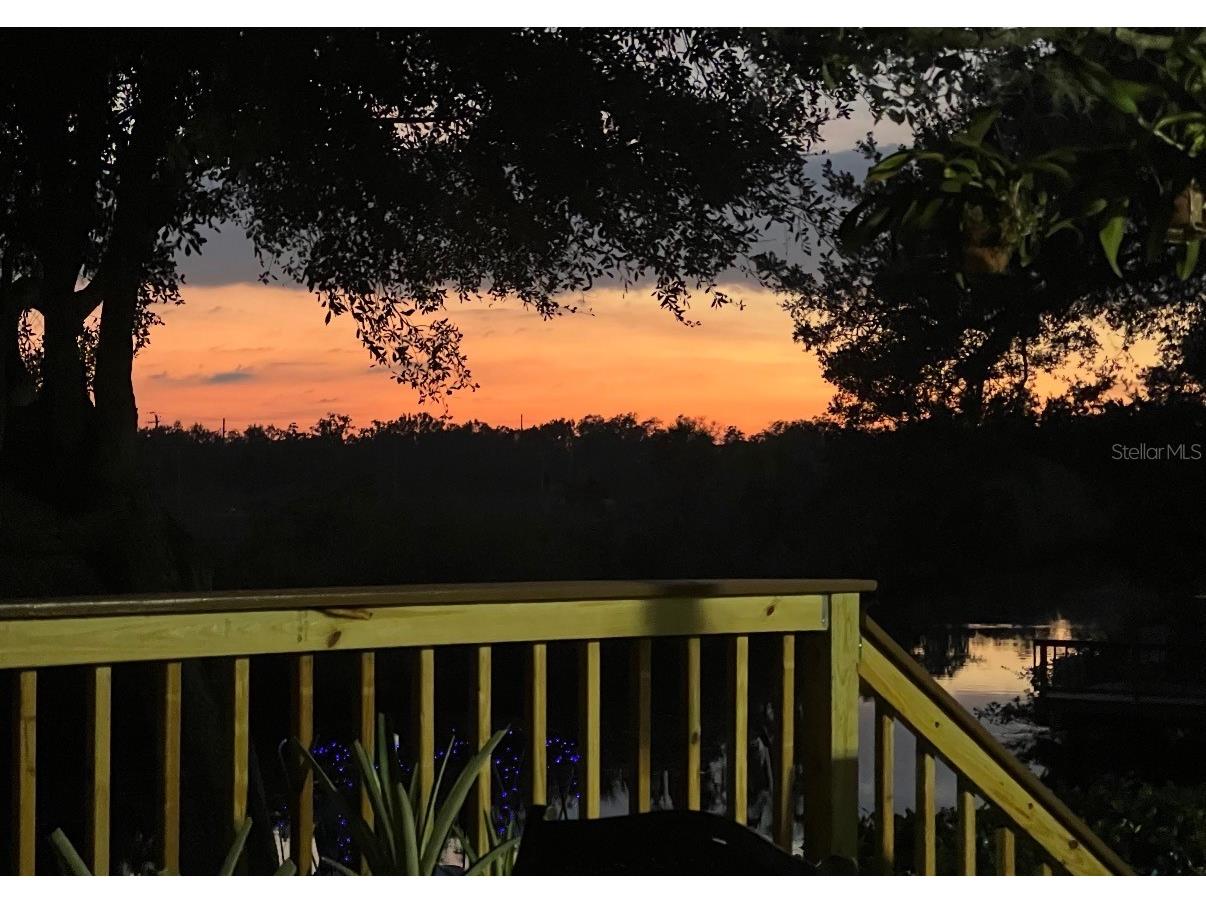 12508 Glenna Avenue Tampa FL 33635 TB8465813 image41