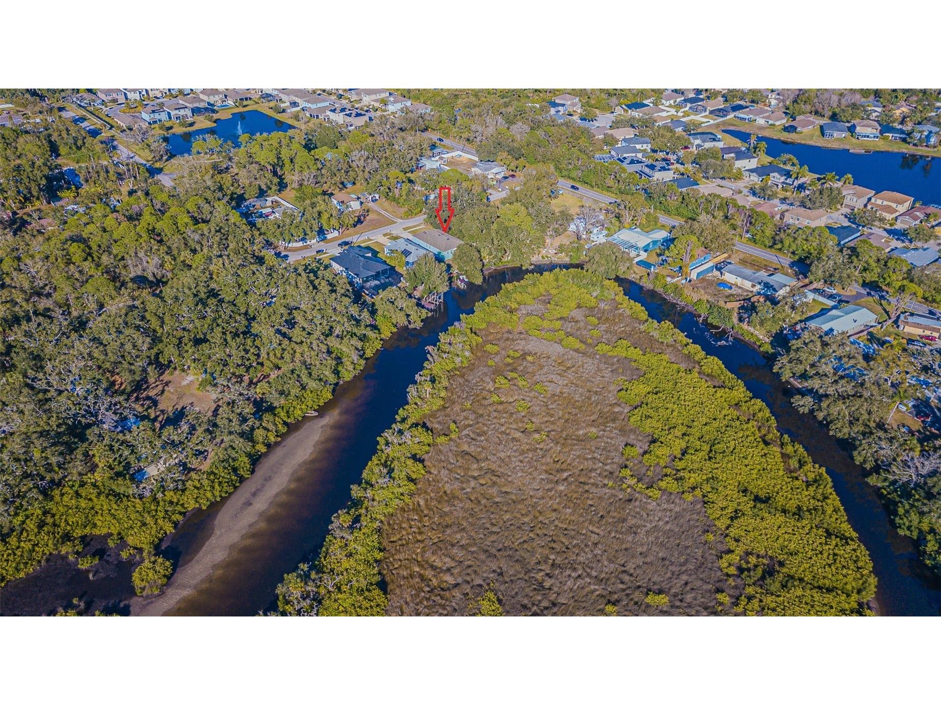 12508 Glenna Avenue Tampa FL 33635 TB8465813 image9