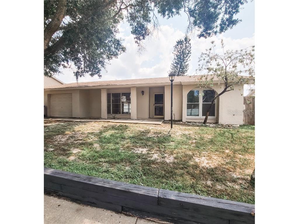 12509 Limpet Drive Tampa FL 33625 T3456403 image1