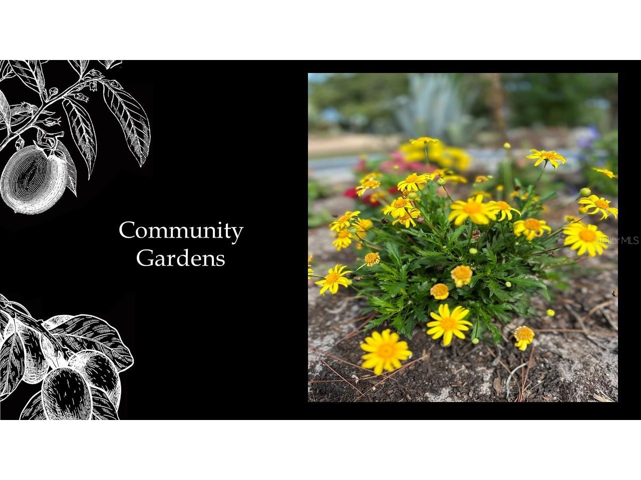 12509 SW 58th Circle Archer FL 32618 GC442457 image21