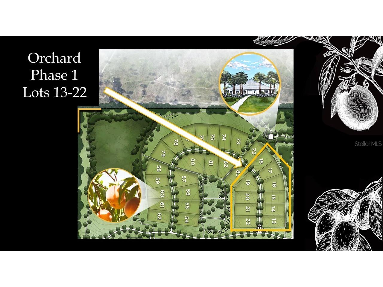 12509 SW 58th Circle Archer FL 32618 GC442457 image4