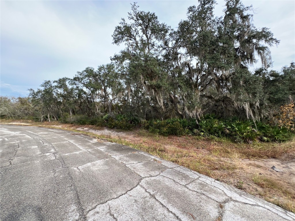 1251 Baltic Drive Kissimmee FL 34759 S5139618 image1