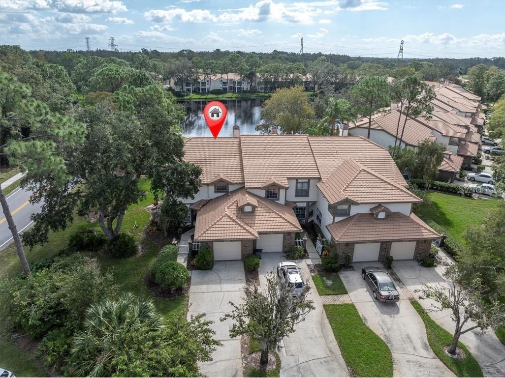 1251 Clays Trail Oldsmar FL 34677 TB8321867 image1
