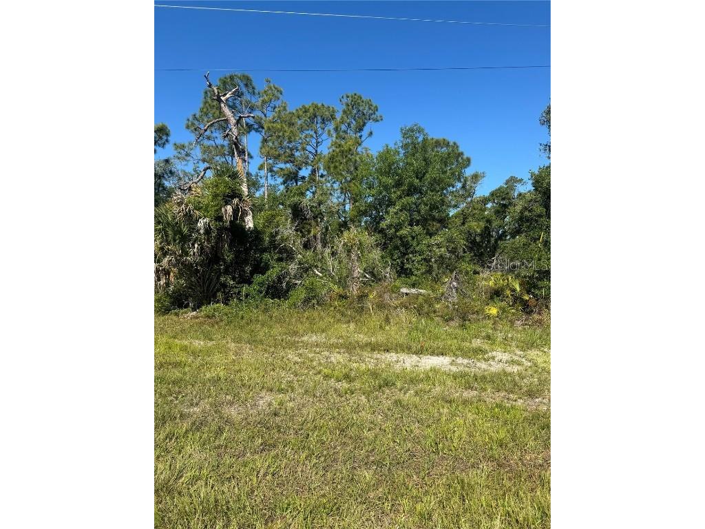 1251 Cornelius Boulevard Port Charlotte FL 33953 C7491268 image1