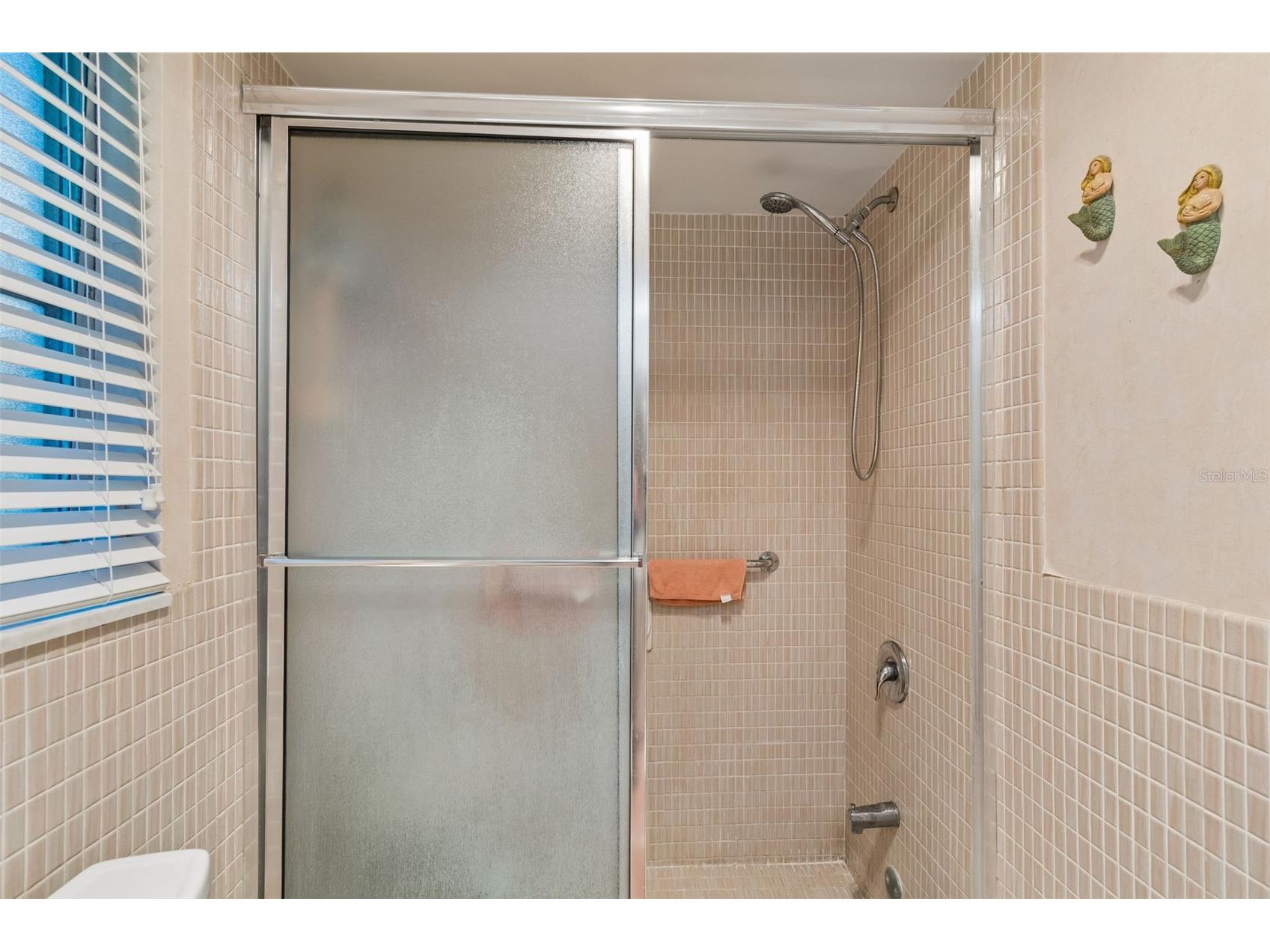 1251 Holiday Drive Tarpon Springs FL 34689 TB8511051 image25