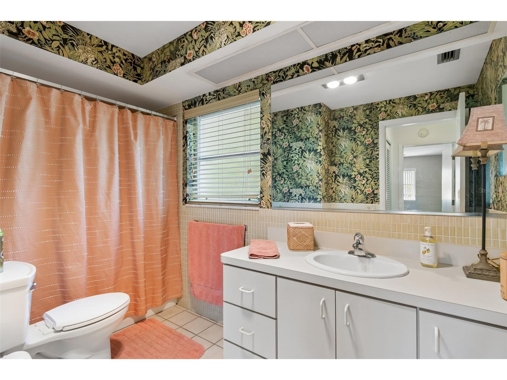 1251 Holiday Drive Tarpon Springs FL 34689 TB8511051 image29