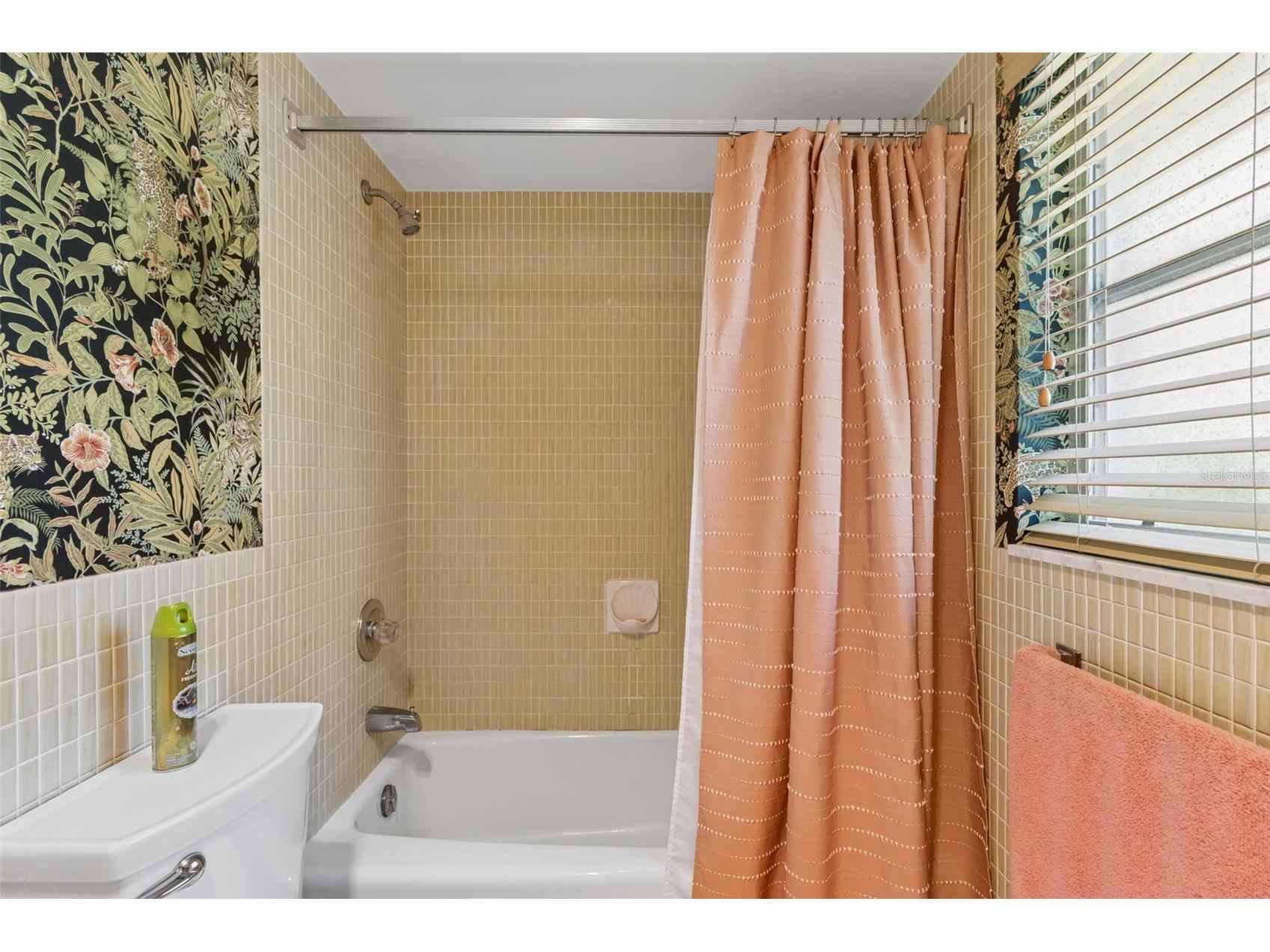 1251 Holiday Drive Tarpon Springs FL 34689 TB8511051 image30