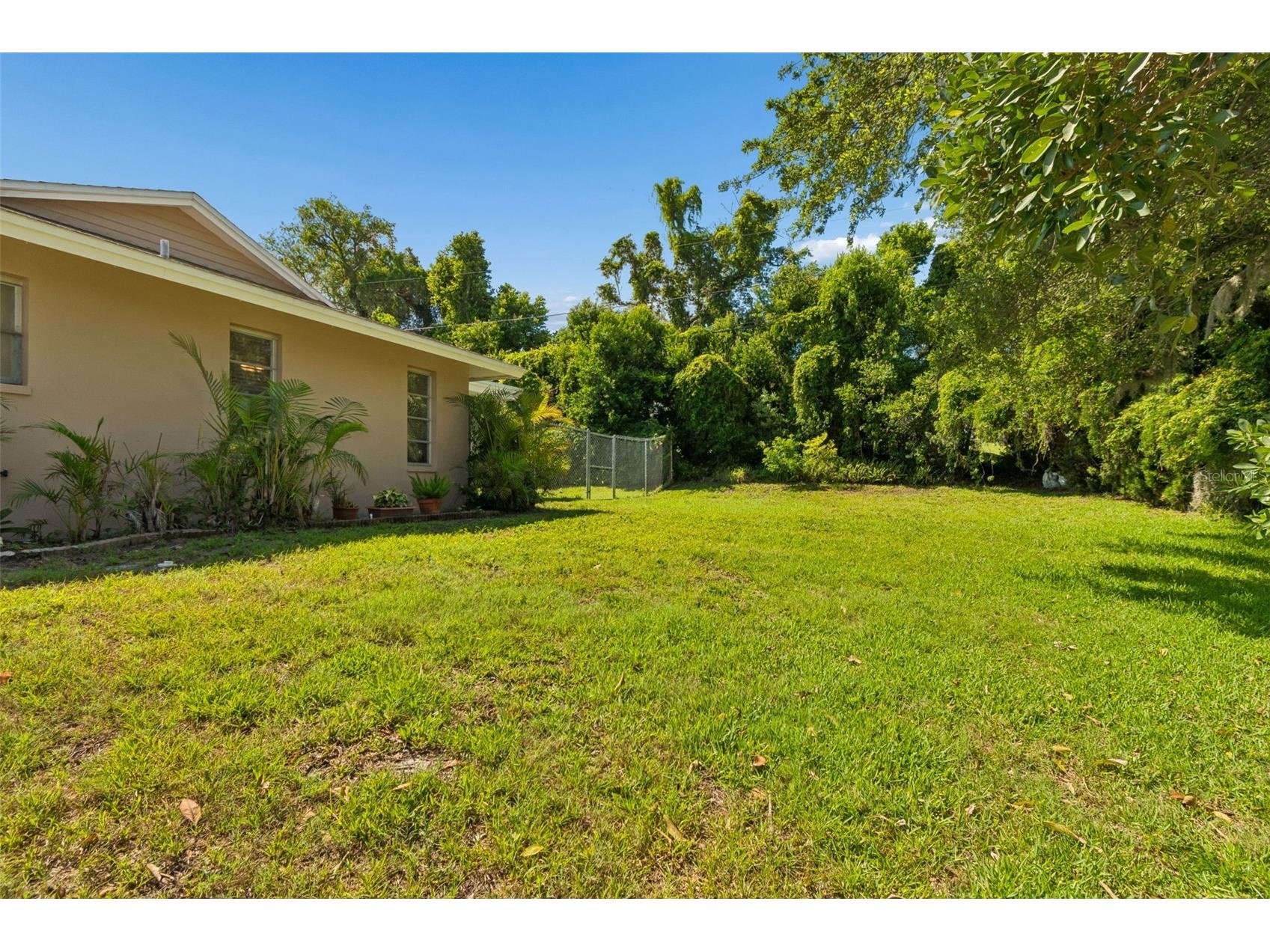 1251 Holiday Drive Tarpon Springs FL 34689 TB8511051 image41