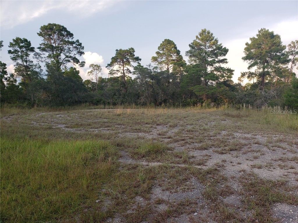 1251 Popinjay Avenue Lake Placid FL 33852 A4618133 image1