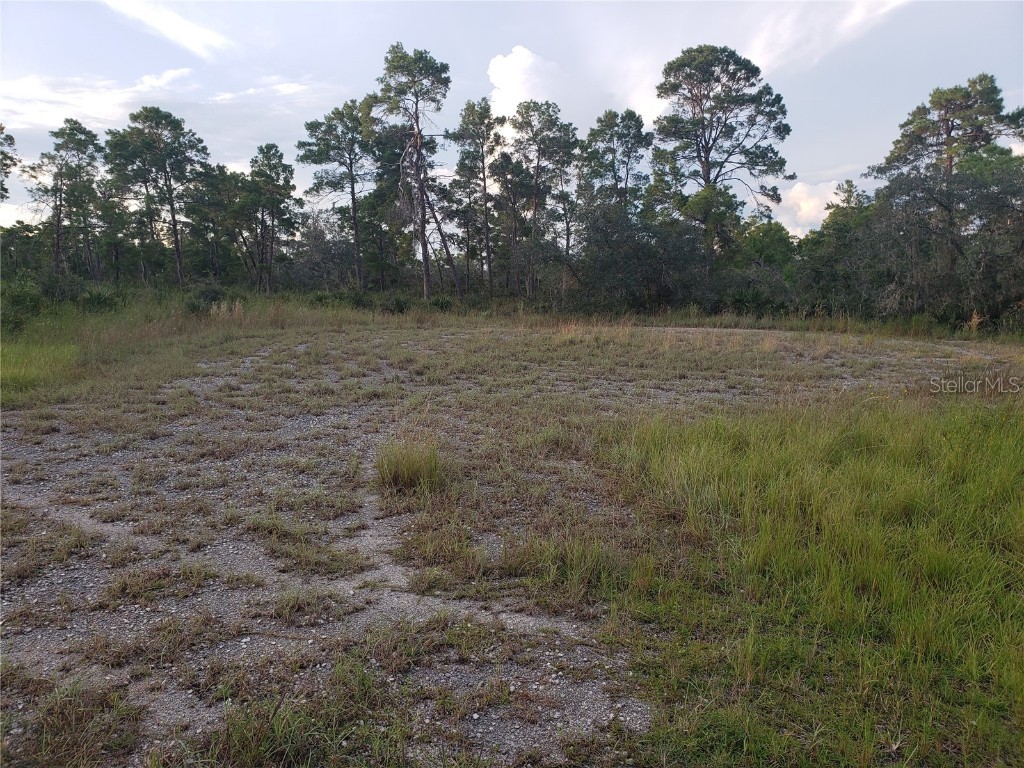 1251 Popinjay Avenue Lake Placid FL 33852 A4618133 image2