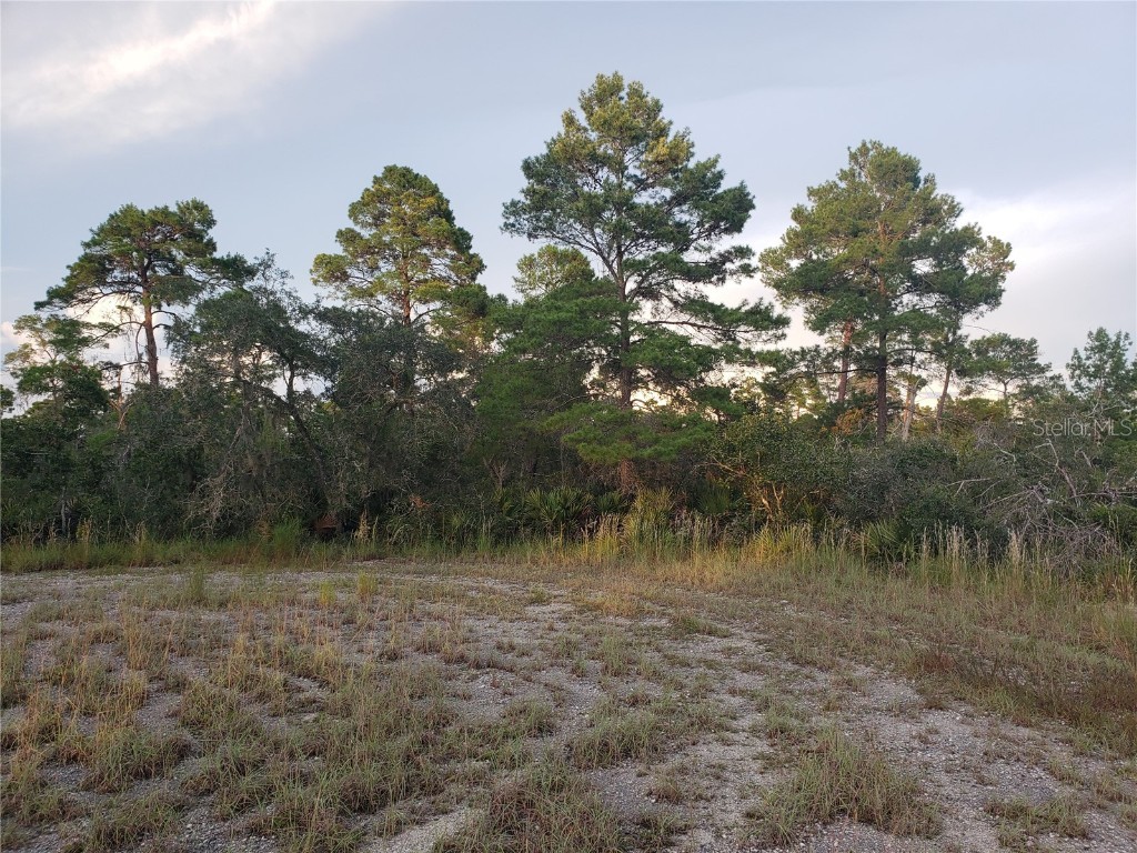 1251 Popinjay Avenue Lake Placid FL 33852 A4618133 image3