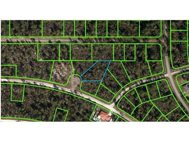 1251 Popinjay Avenue Lake Placid FL 33852 A4618133 image4