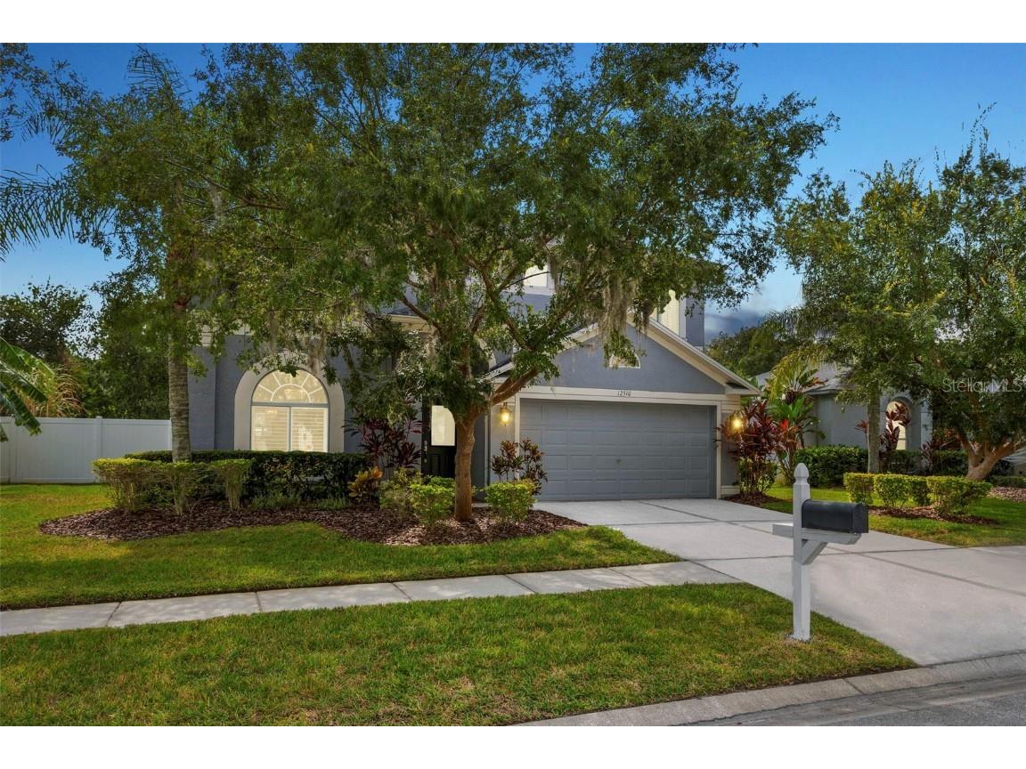 12510 Ashdown Drive Odessa FL 33556 T3495188 image1