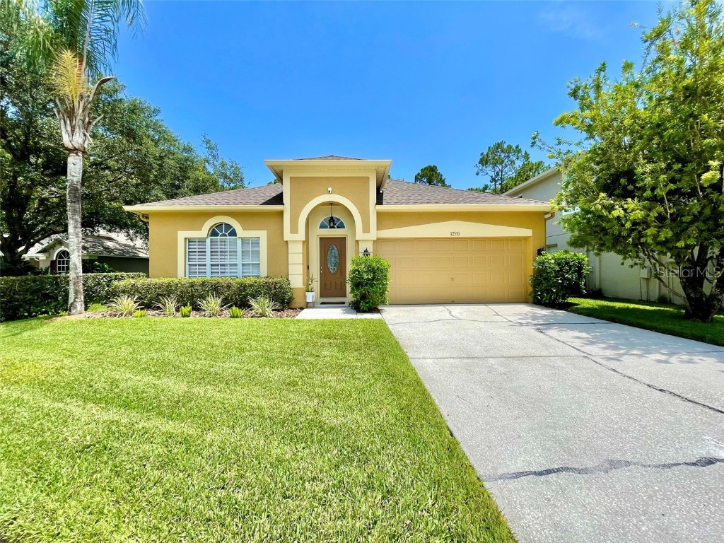 12510 Blazing Star Drive Tampa FL 33626 T3453697 image1