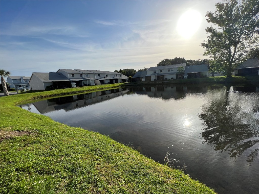 12510 Castle Hill Drive Tampa FL 33624 U8159725 image1