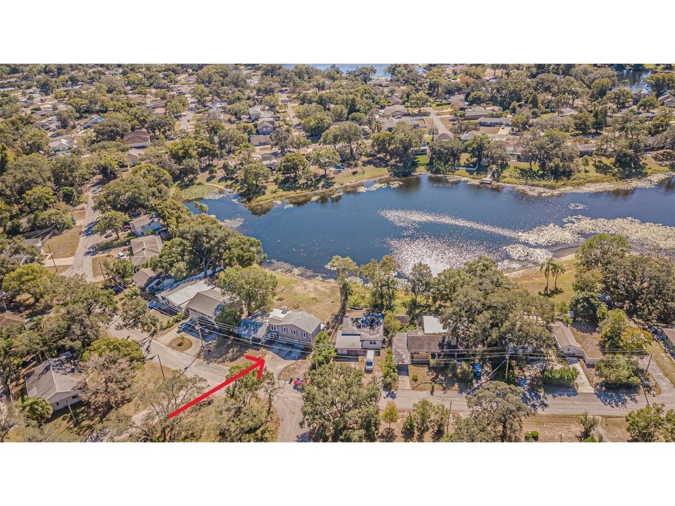 12510 Forest Hills Drive Tampa FL 33612 - Pine Lake TB8449618 image2