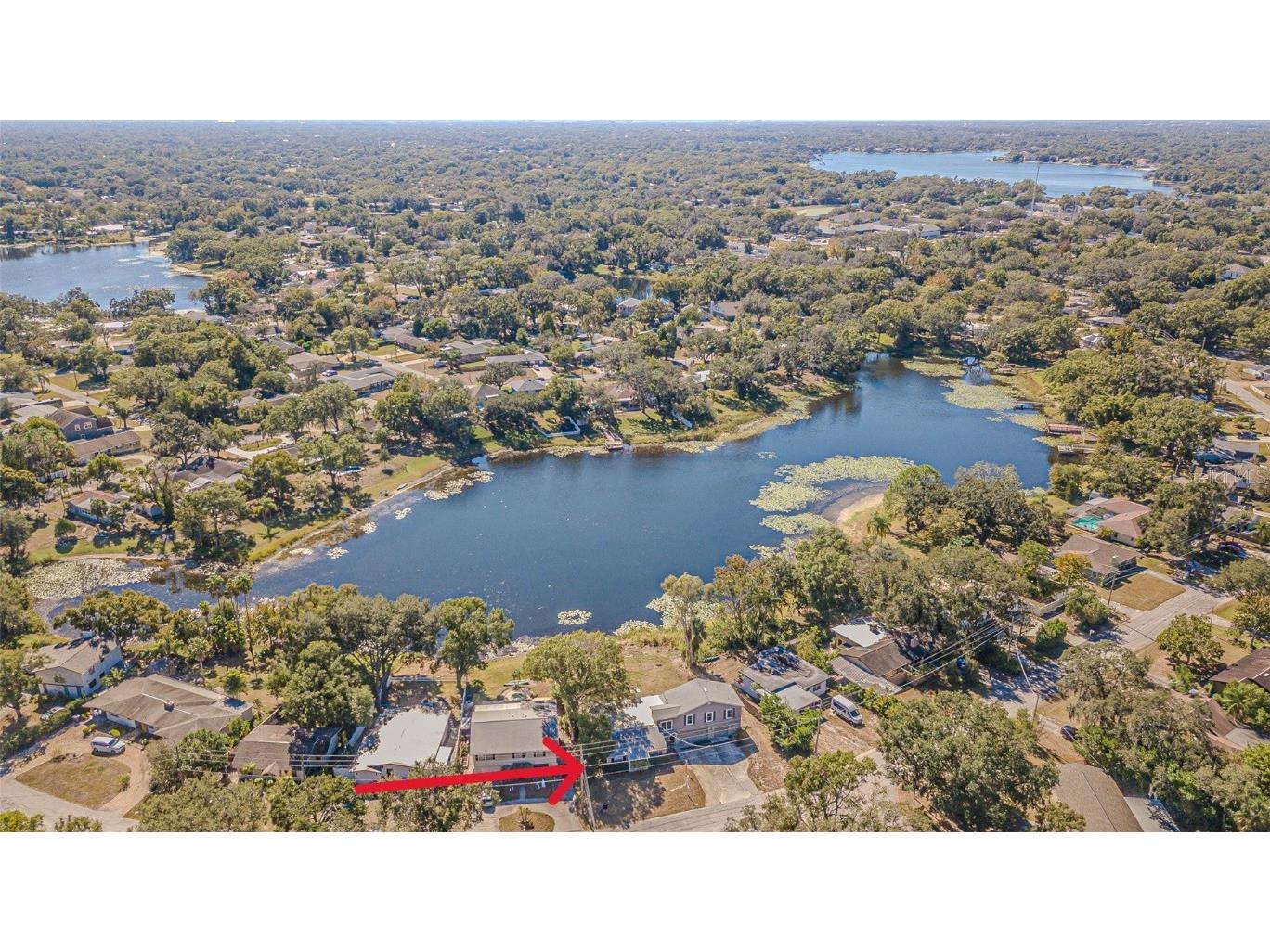 12510 Forest Hills Drive Tampa FL 33612 - Pine Lake TB8449618 image42