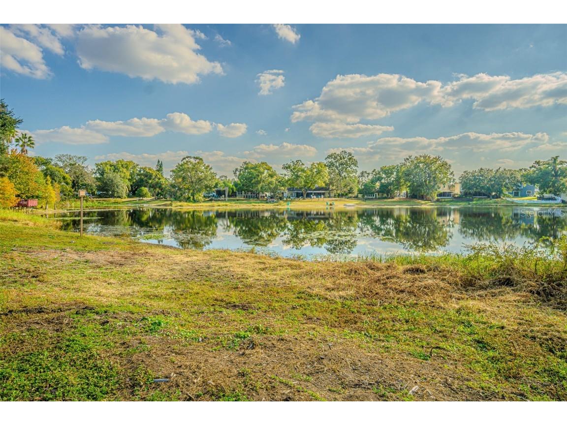 12510 Forest Hills Drive Tampa FL 33612 - Pine Lake TB8449618 image5