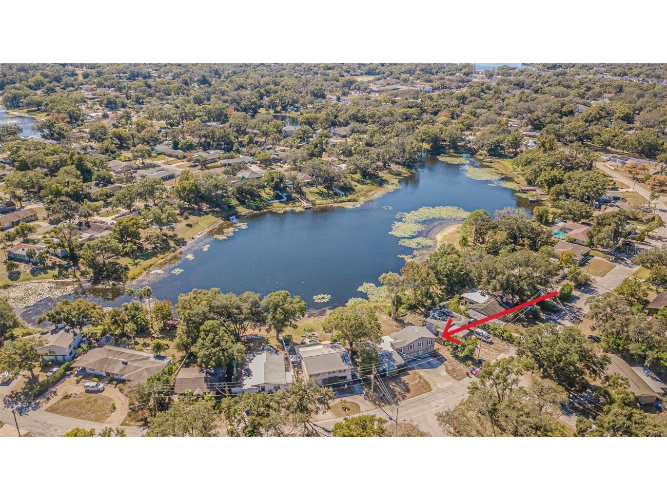 12510 Forest Hills Drive Tampa FL 33612 - Pine Lake TB8449618 image52