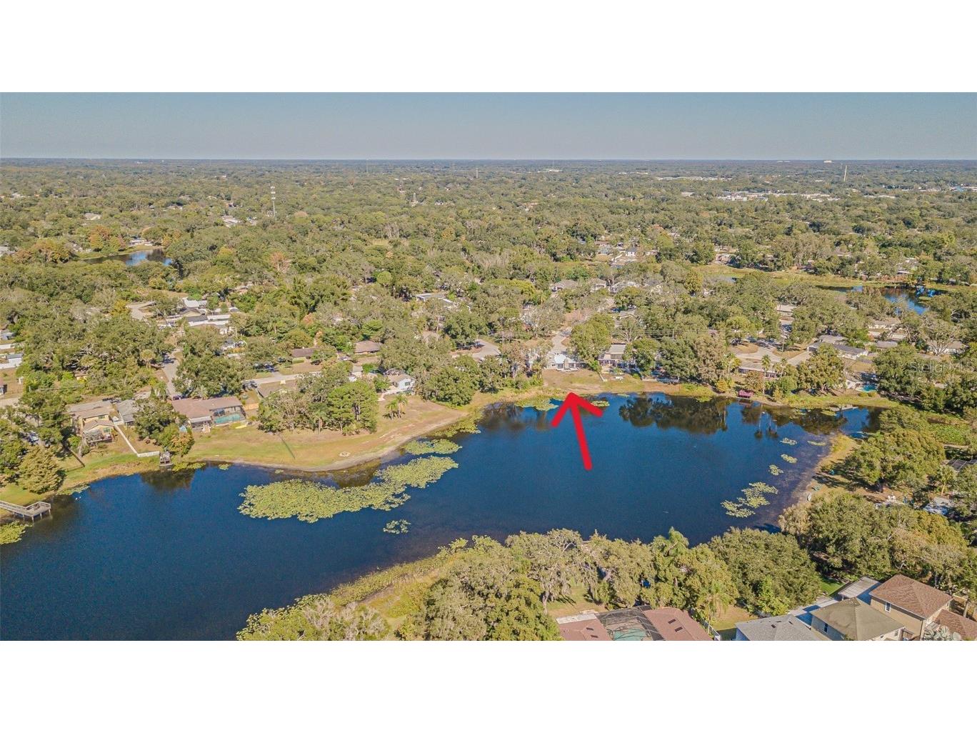 12510 Forest Hills Drive Tampa FL 33612 - Pine Lake TB8449618 image54