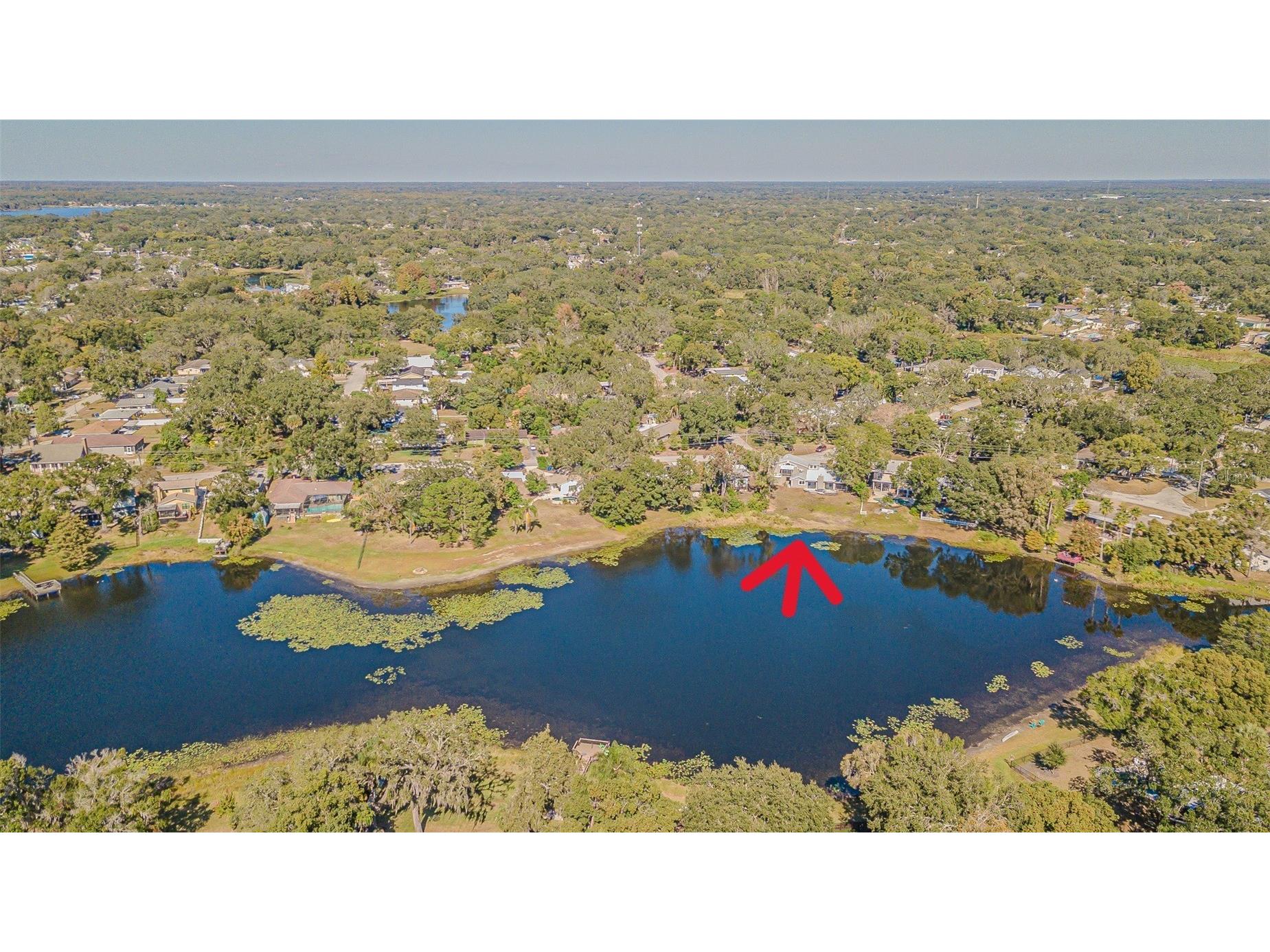 12510 Forest Hills Drive Tampa FL 33612 - Pine Lake TB8449618 image55