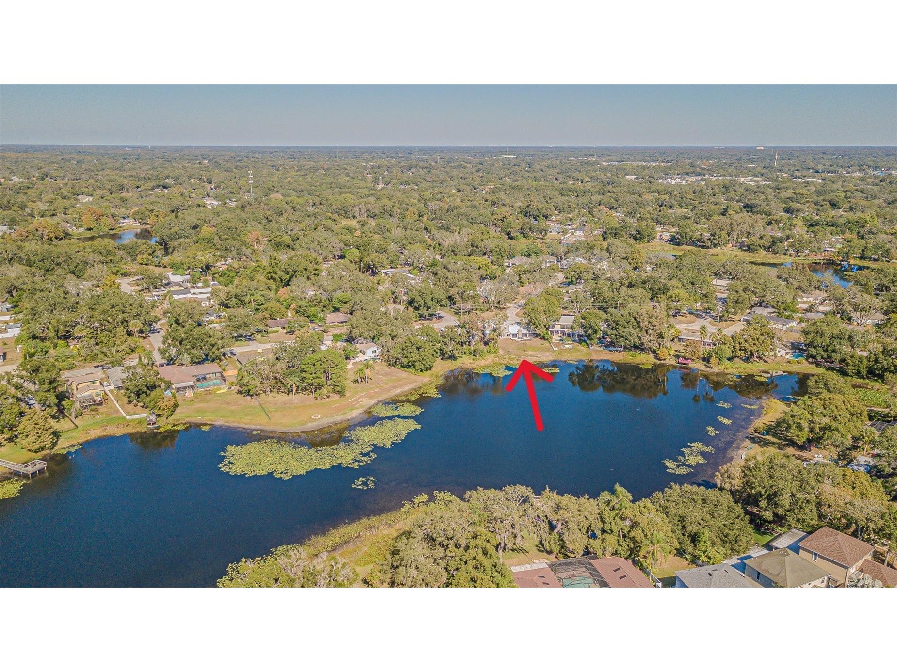 12510 Forest Hills Drive Tampa FL 33612 - Pine Lake TB8449618 image56