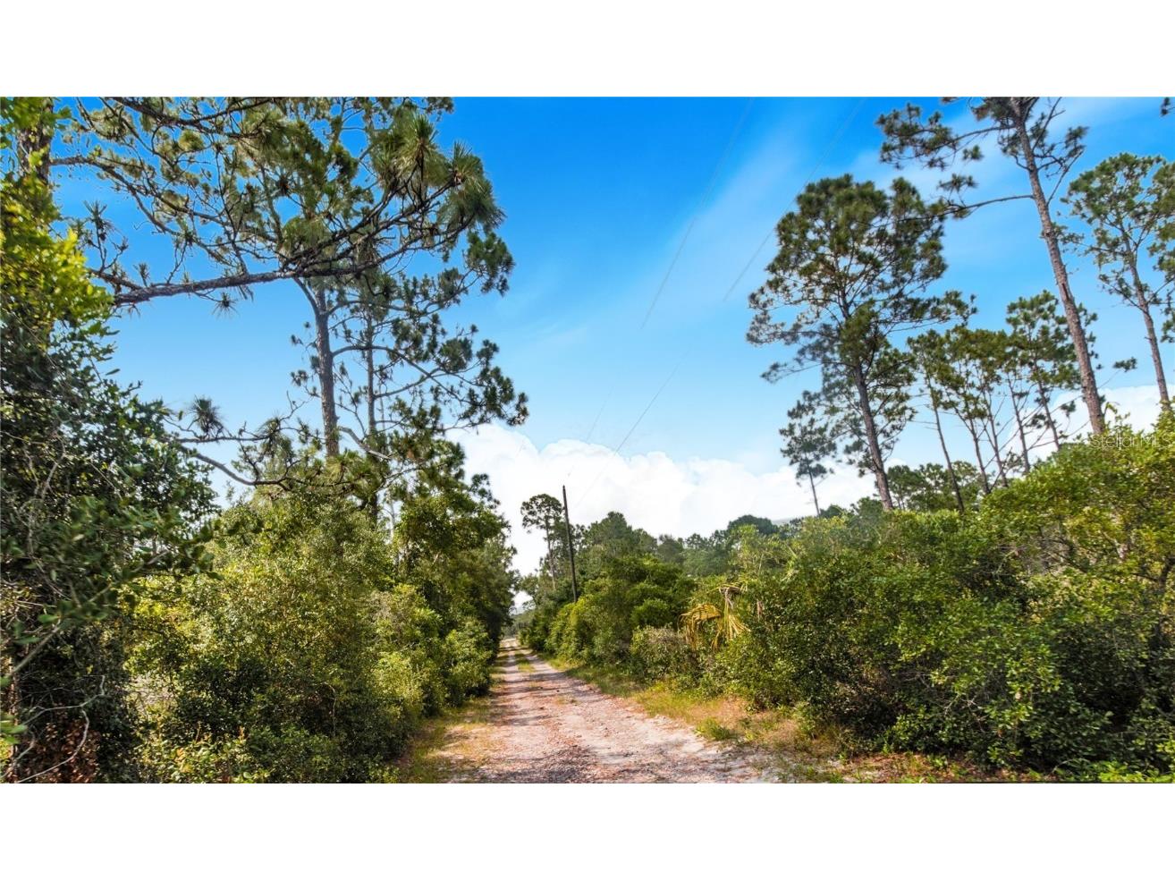 12510 Lake Hatchineha Road Haines City FL 33844 P4930601 image46