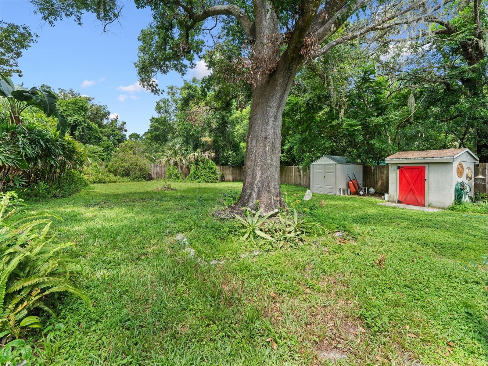 12510 Noreast Lake Drive Tampa FL 33612 TB8498276 image26