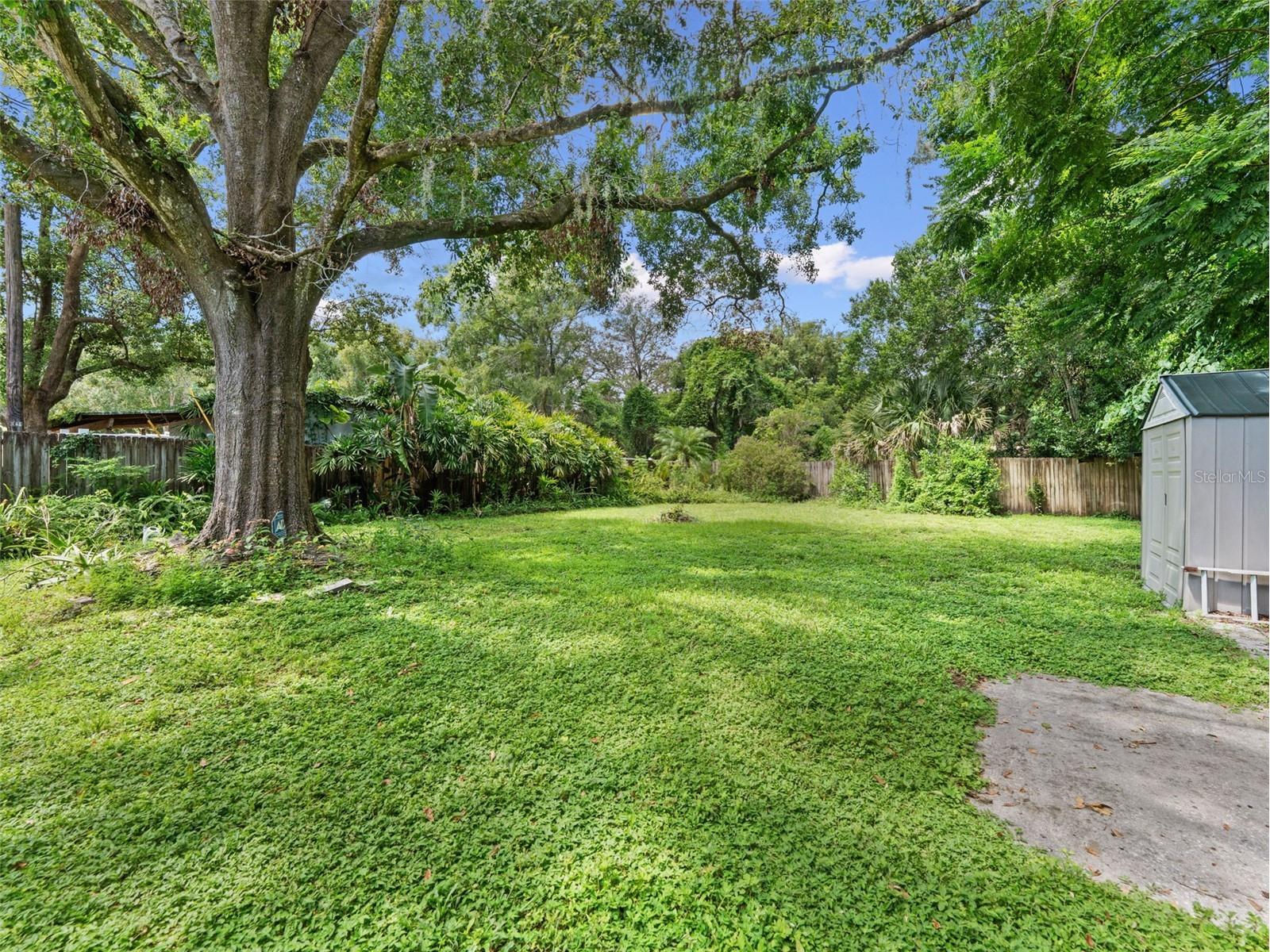 12510 Noreast Lake Drive Tampa FL 33612 TB8498276 image28