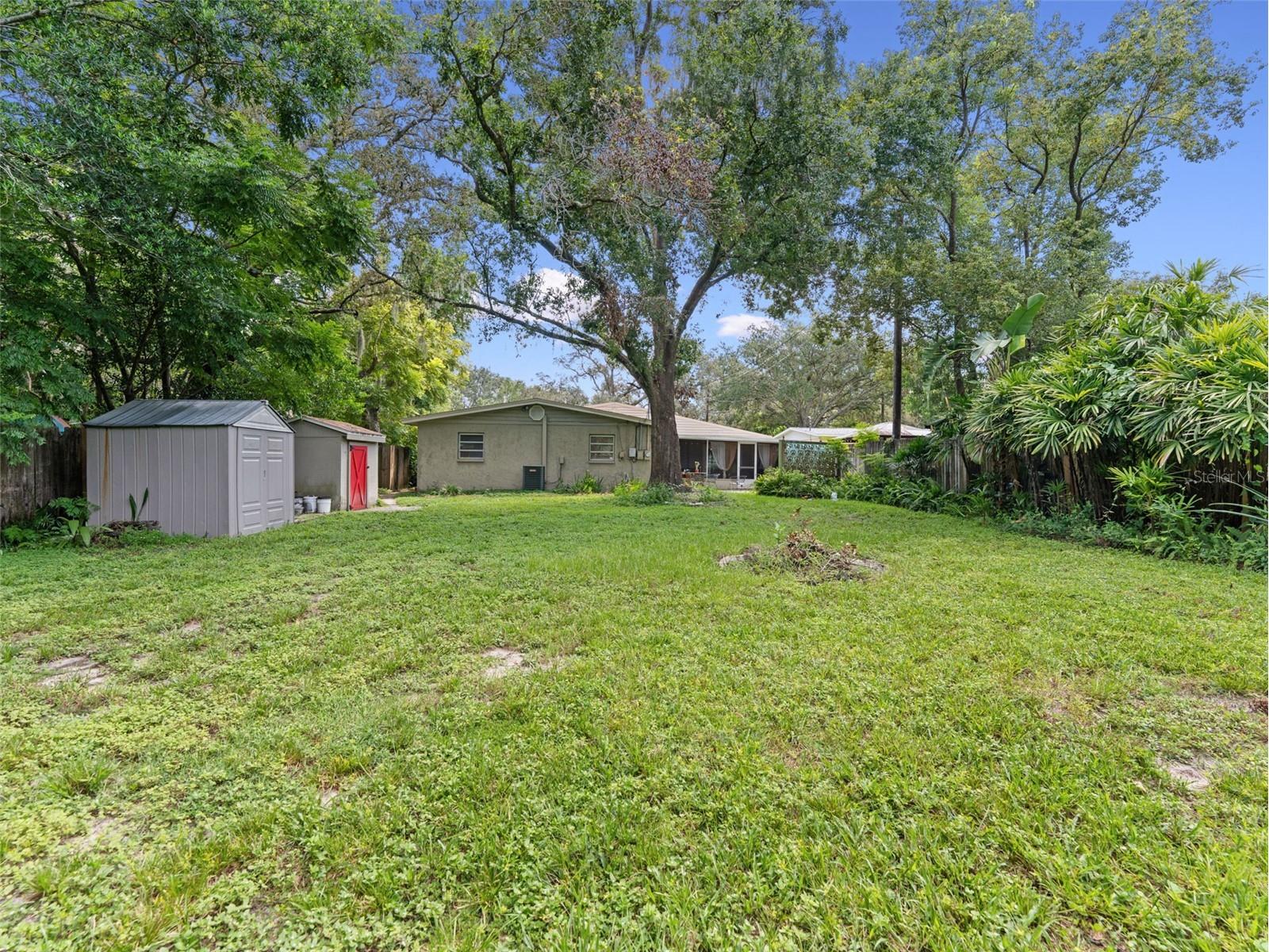 12510 Noreast Lake Drive Tampa FL 33612 TB8498276 image29