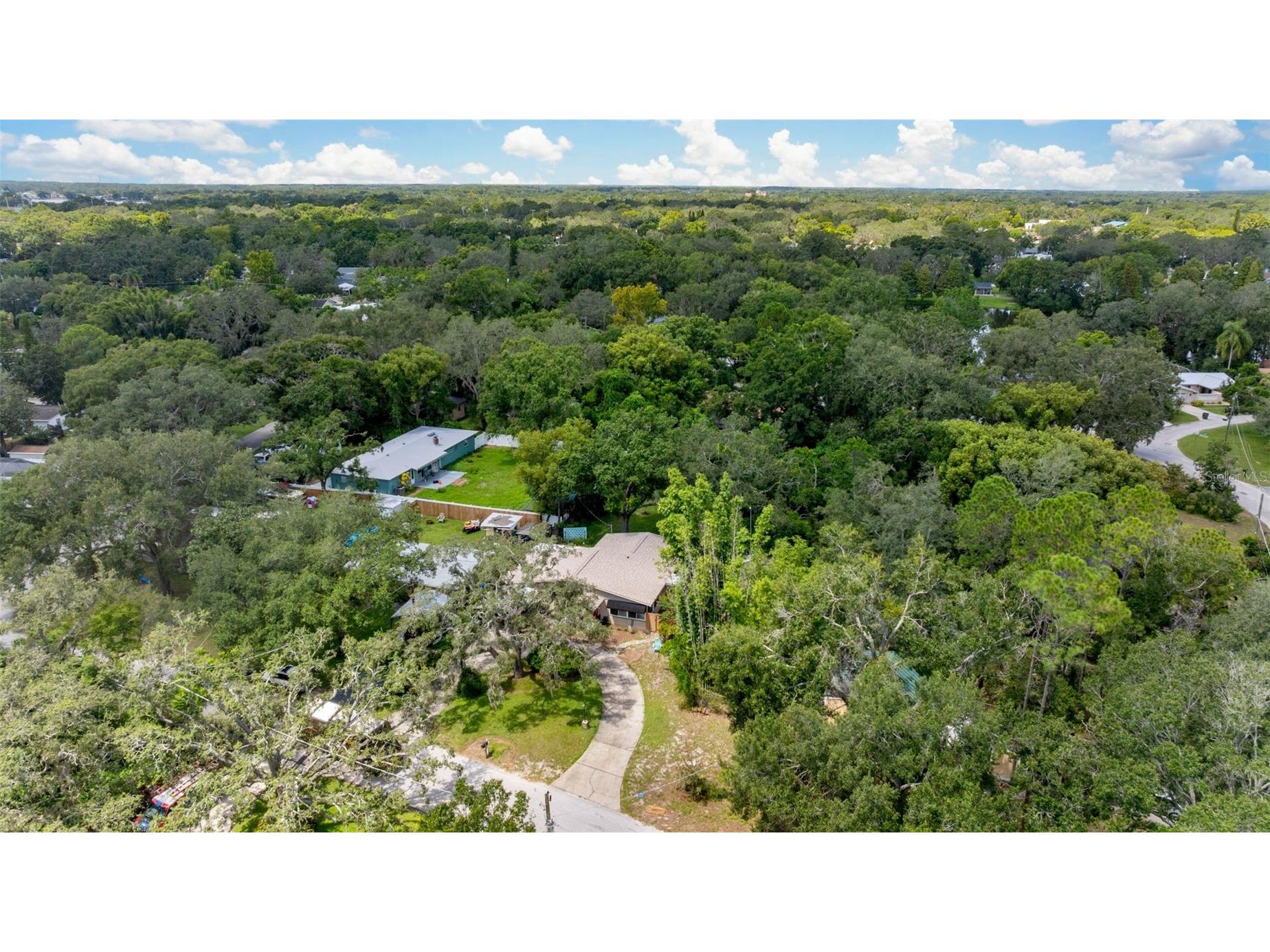 12510 Noreast Lake Drive Tampa FL 33612 TB8498276 image33