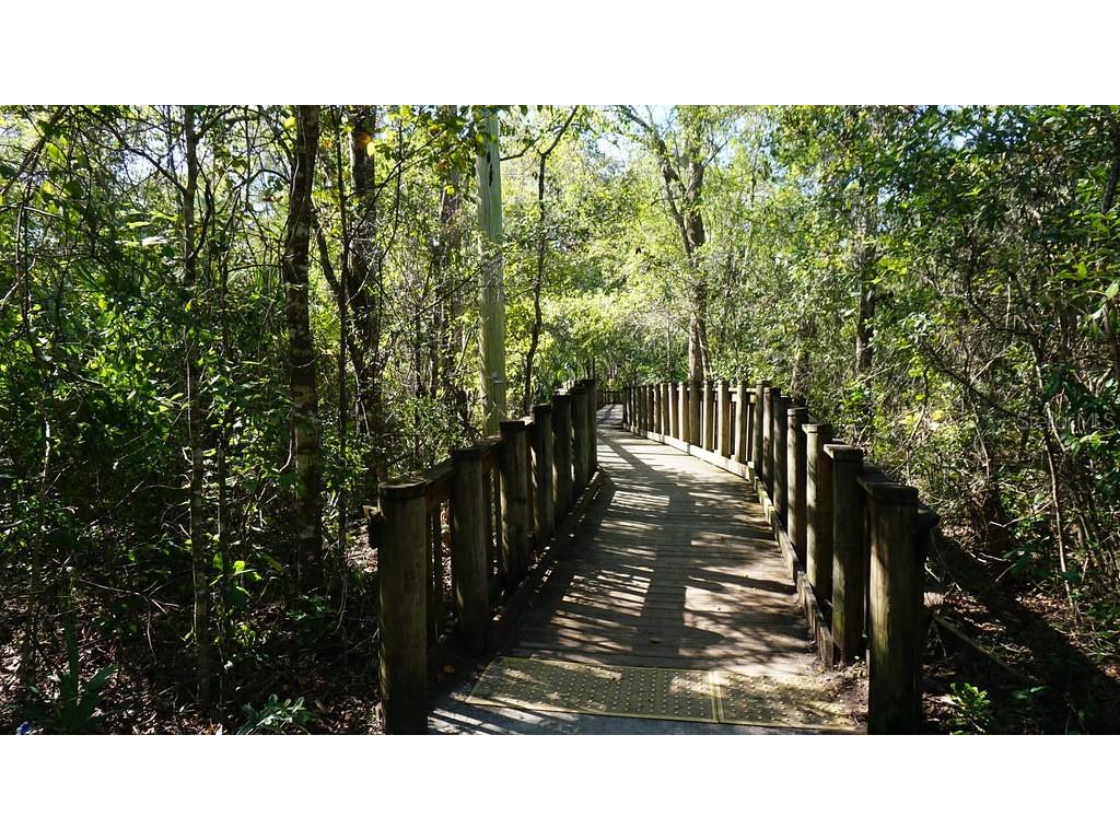 12510 Payson Street New Port Richey FL 34654 W7887669 image45