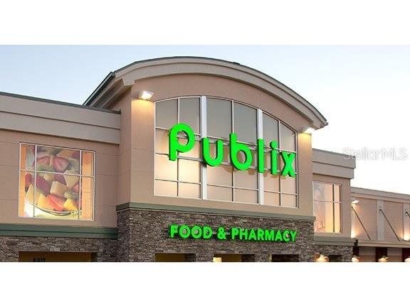 12510 Payson Street New Port Richey FL 34654 W7887669 image46