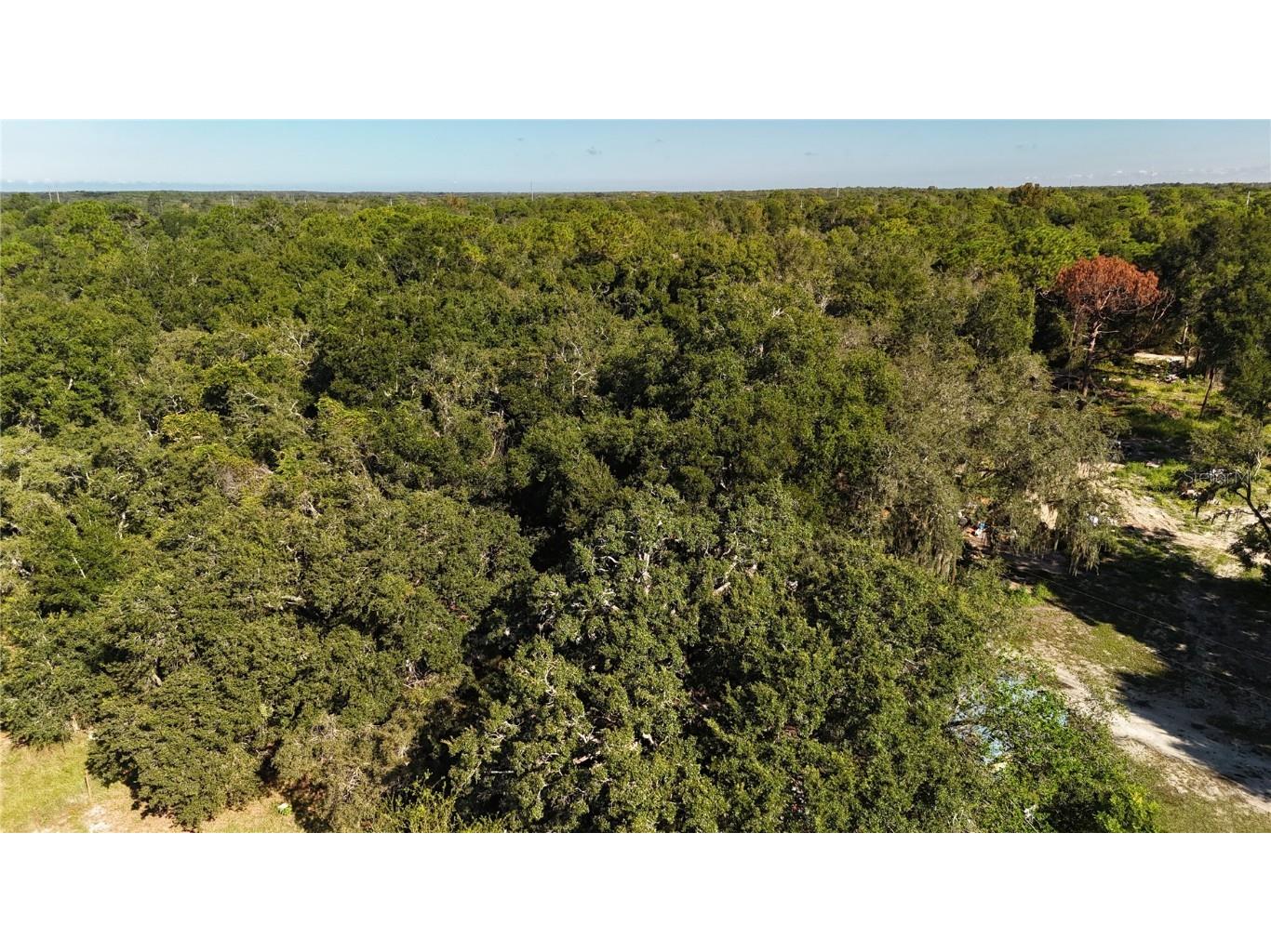 12510 Robinhood Road Hudson FL 34669 TB8433042 image14