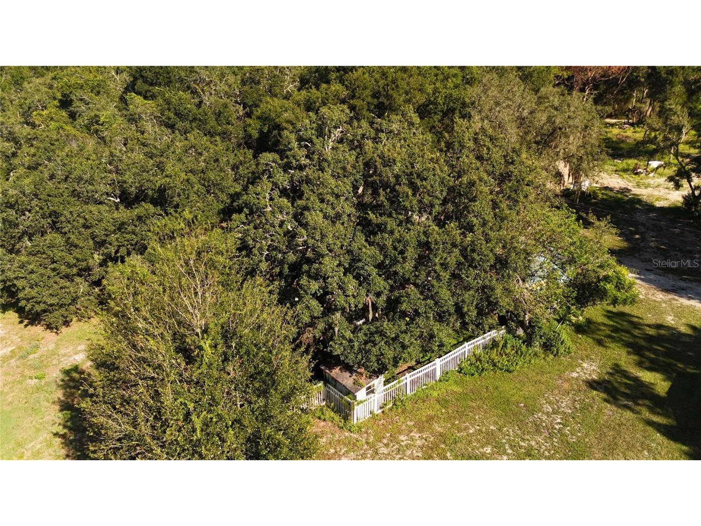 12510 Robinhood Road Hudson FL 34669 TB8433042 image17