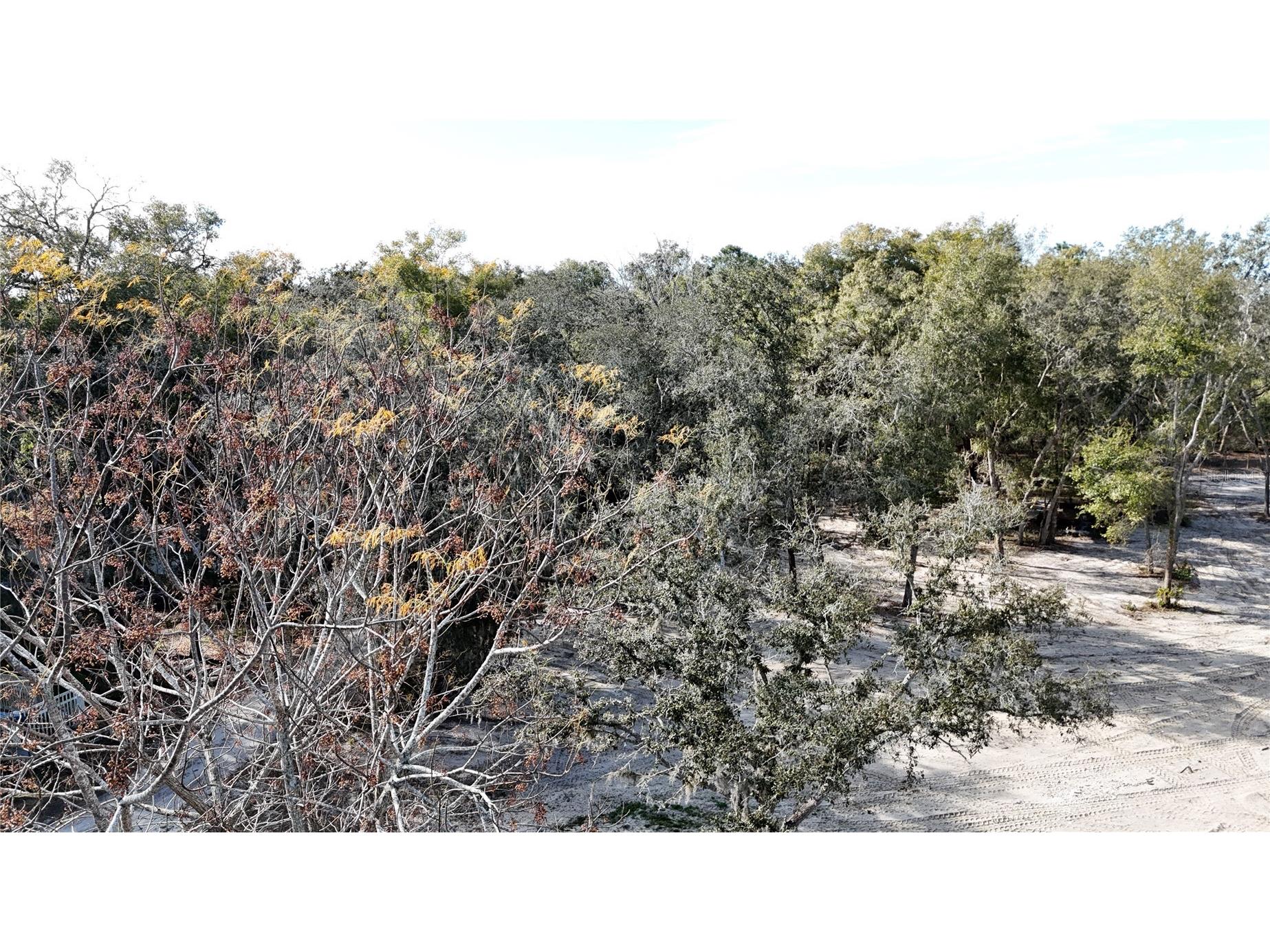 12510 Robinhood Road Hudson FL 34669 TB8470971 image9