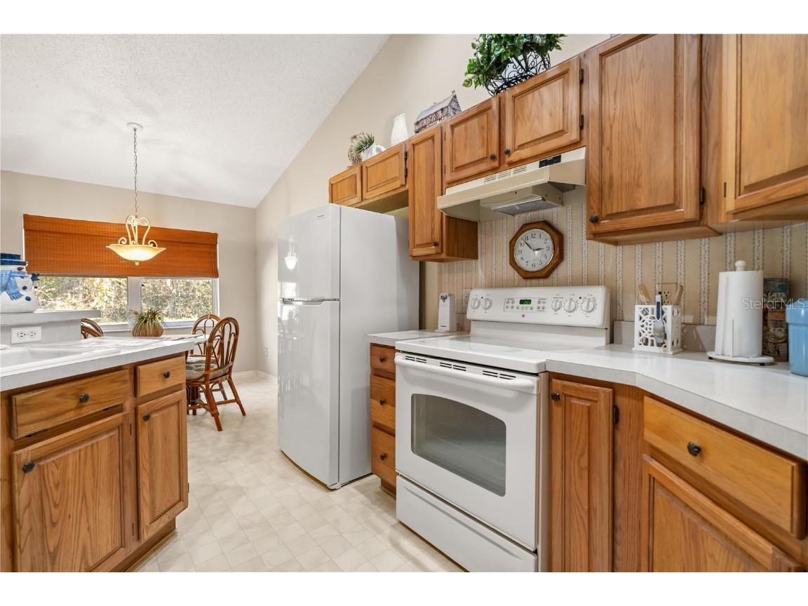 12512 Bohannon Boulevard Orlando FL 32824 S5138937 image9