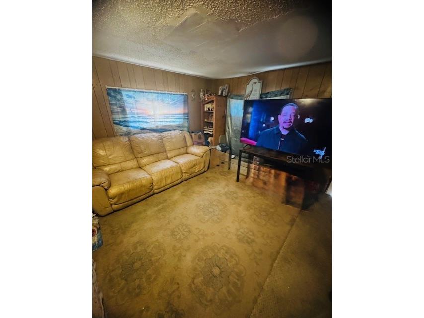 12512 Cr 685 Webster FL 33597 G5106689 image11