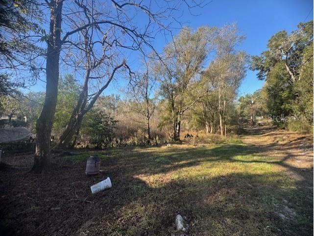 12512 Cr 685 Webster FL 33597 G5106689 image5