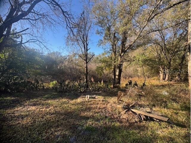 12512 Cr 685 Webster FL 33597 G5106689 image6