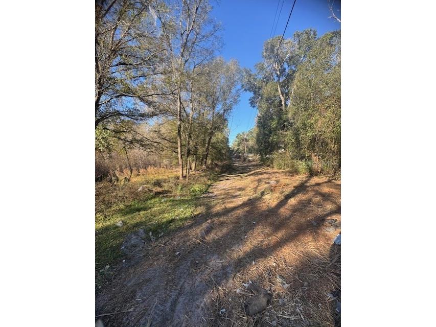 12512 Cr 685 Webster FL 33597 G5106689 image8