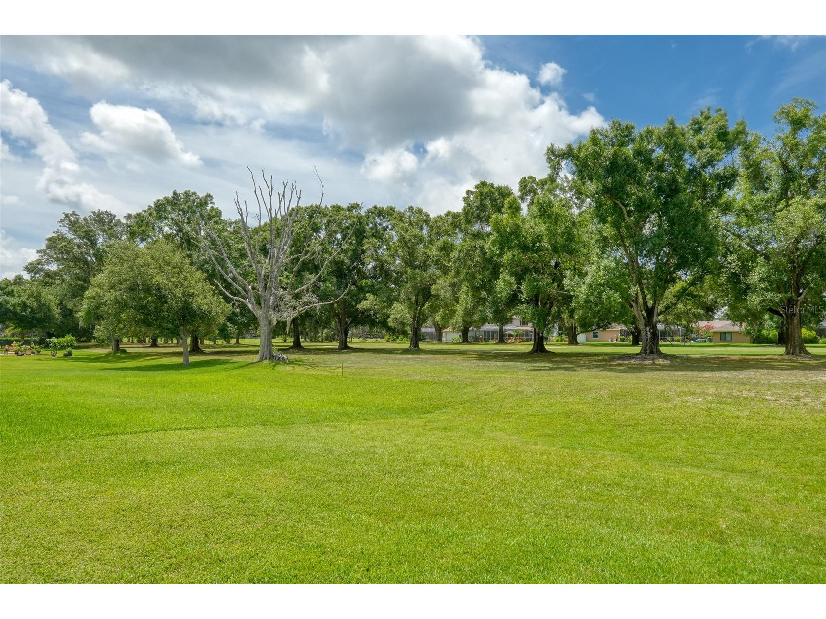 12512 Eagles Entry Drive Odessa FL 33556 TB8518317 image43