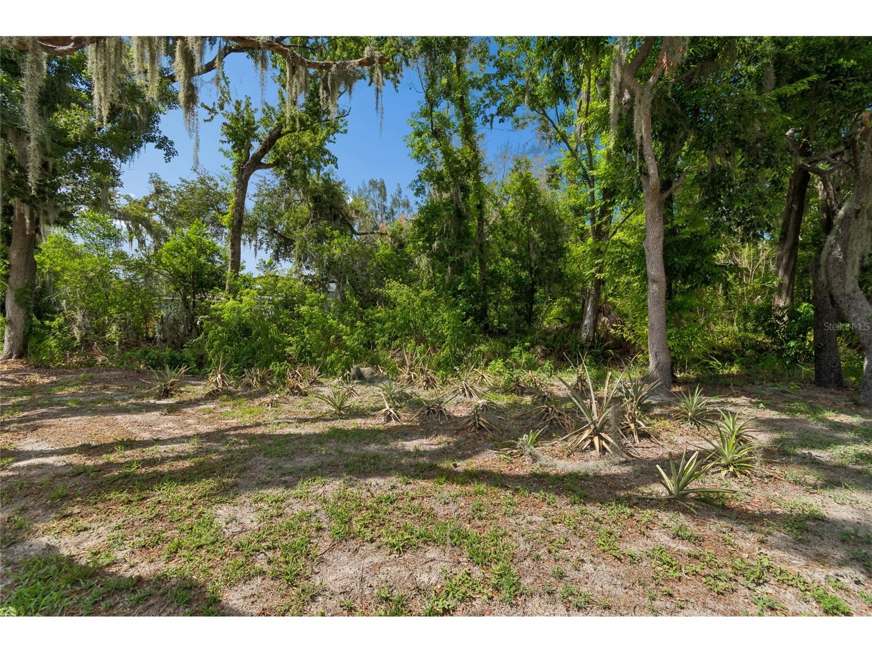 12512 Spottswood Dr Riverview FL 33579 TB8512720 image42