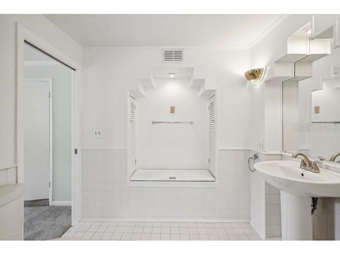 12512 Sugar Pine Way Tampa FL 33624 TB8414748 image19