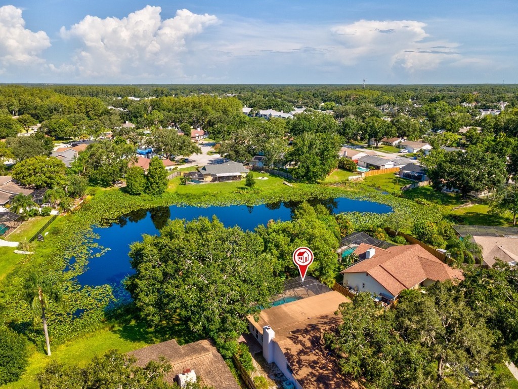 12512 Sugar Pine Way Tampa FL 33624 TB8414748 image3