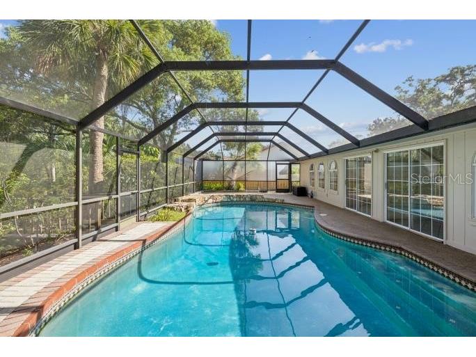 12512 Sugar Pine Way Tampa FL 33624 TB8414748 image37