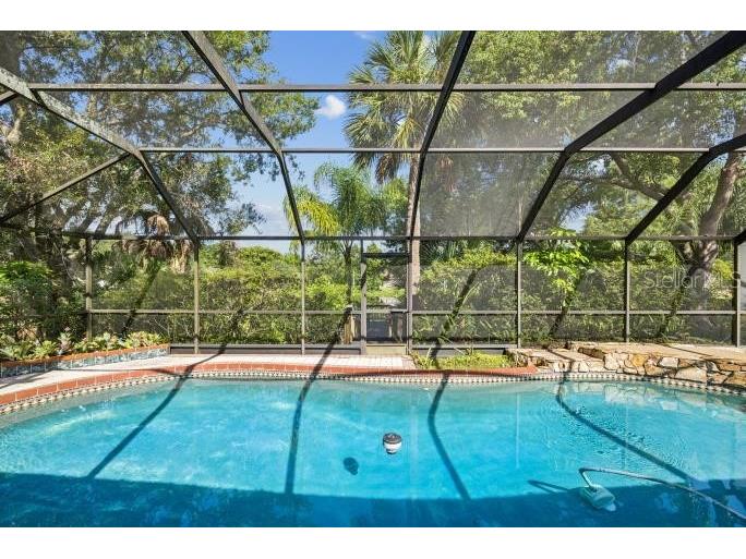 12512 Sugar Pine Way Tampa FL 33624 TB8414748 image38