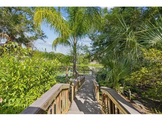 12512 Sugar Pine Way Tampa FL 33624 TB8414748 image39